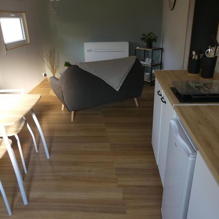 charmant studio 35m² au calme proche du circuit Apartment Saint-Gervais en-Belin Exterior foto